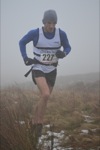 Click on thumbnail for larger photo