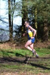 Click on thumbnail for larger photo