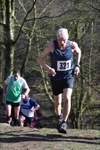 Click on thumbnail for larger photo