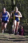 Click on thumbnail for larger photo