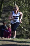 Click on thumbnail for larger photo