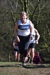 Click on thumbnail for larger photo