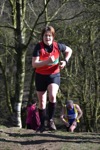 Click on thumbnail for larger photo
