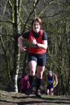 Click on thumbnail for larger photo