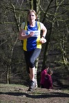 Click on thumbnail for larger photo