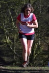 Click on thumbnail for larger photo