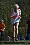 Click on thumbnail for larger photo