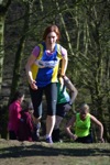 Click on thumbnail for larger photo