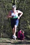 Click on thumbnail for larger photo