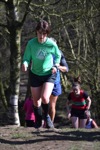 Click on thumbnail for larger photo
