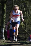 Click on thumbnail for larger photo