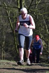 Click on thumbnail for larger photo