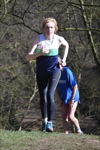 Click on thumbnail for larger photo
