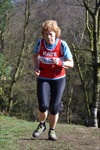 Click on thumbnail for larger photo