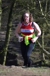Click on thumbnail for larger photo