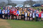 Click on thumbnail for larger photo