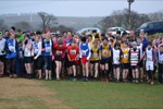 Click on thumbnail for larger photo