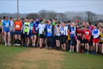 Click on thumbnail for larger photo