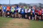 Click on thumbnail for larger photo