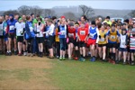 Click on thumbnail for larger photo