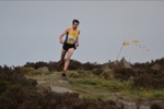 Click on thumbnail for larger photo