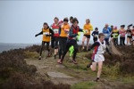 Click on thumbnail for larger photo