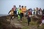 Click on thumbnail for larger photo