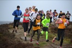 Click on thumbnail for larger photo