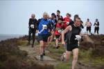 Click on thumbnail for larger photo