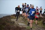 Click on thumbnail for larger photo