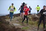 Click on thumbnail for larger photo