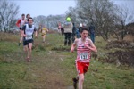 Click on thumbnail for larger photo