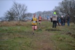 Click on thumbnail for larger photo