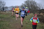 Click on thumbnail for larger photo