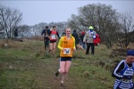 Click on thumbnail for larger photo