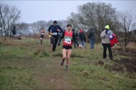 Click on thumbnail for larger photo