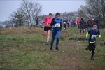 Click on thumbnail for larger photo