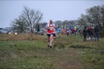 Click on thumbnail for larger photo
