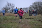 Click on thumbnail for larger photo