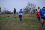 Click on thumbnail for larger photo