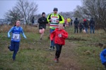 Click on thumbnail for larger photo