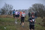 Click on thumbnail for larger photo