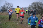 Click on thumbnail for larger photo