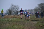 Click on thumbnail for larger photo