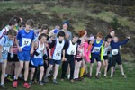 Click on thumbnail for larger photo