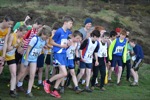 Click on thumbnail for larger photo