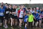 Click on thumbnail for larger photo