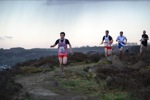 Click on thumbnail for larger photo