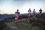 Click on thumbnail for larger photo
