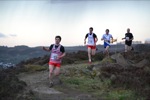 Click on thumbnail for larger photo
